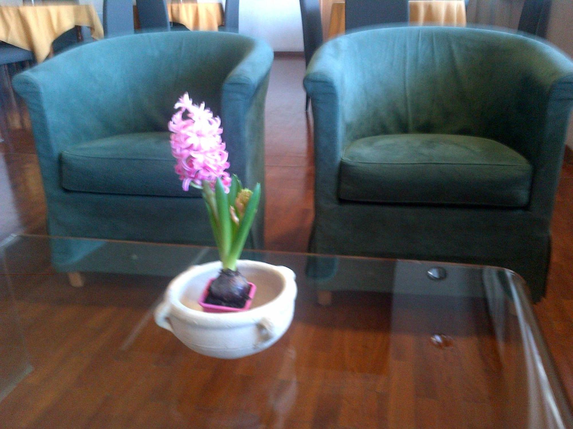 Hotel Barberino Barberino di Mugello Ngoại thất bức ảnh